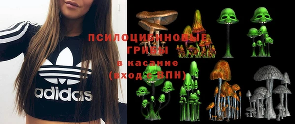 кокс Арсеньев