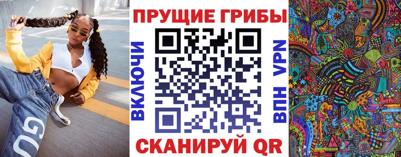 блэк спрут   Нягань  Псилоцибиновые грибы мицелий 